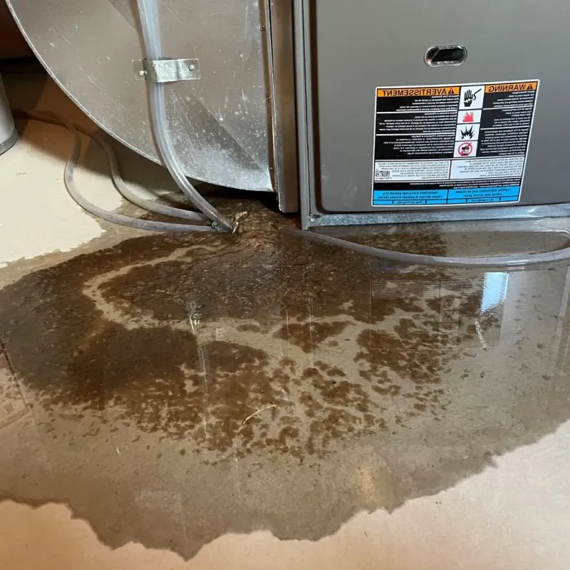 Pipe Burst and Leak Restoration in Cibola County, NM